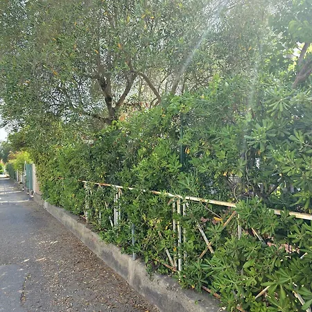 A Pochi Minuti Dal Mare Con Area Esterna, Barbecue